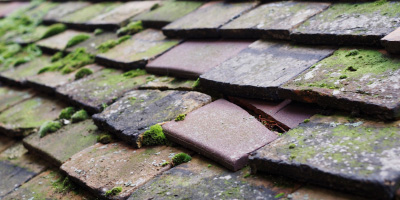 Colne roof repair costs